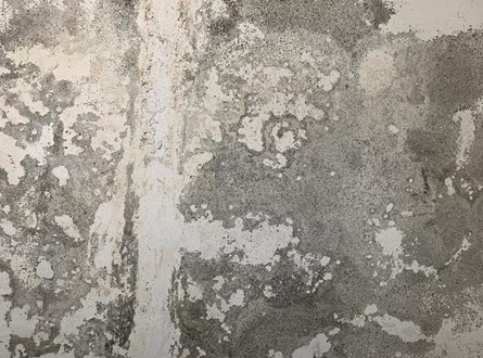 雨漏熱 防水抓漏 分享抓漏的施工案例 專治壁癌及漏水