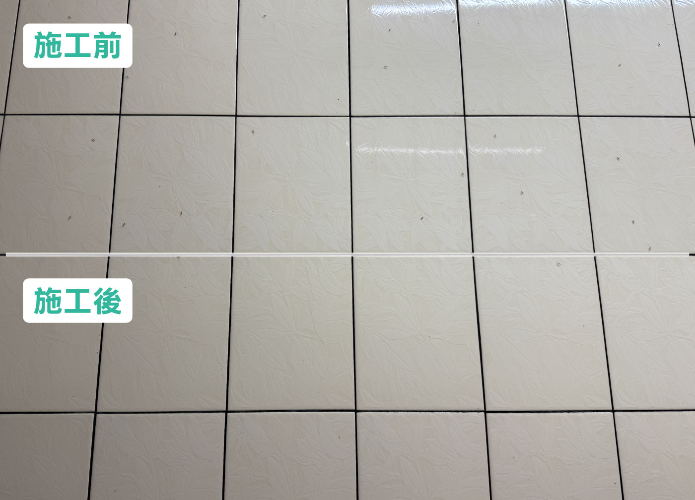 屏東透天住家｜施工後蚊子不再停留